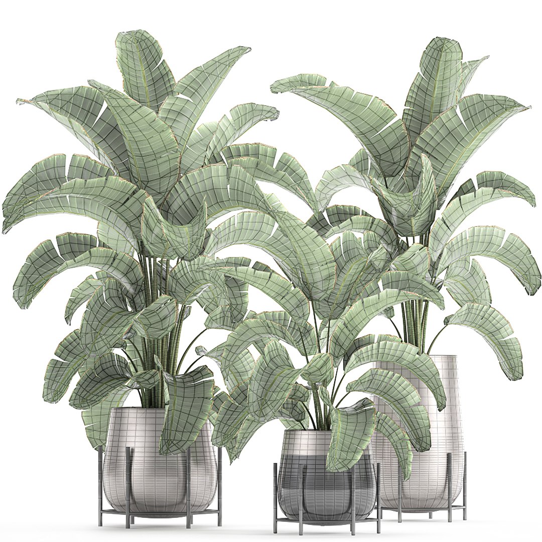 banana palm interior 3D model https://p.turbosquid.com/ts-thumb/Gw/uPkUPH/dN0j9nr1/plants2611202008/jpg/1606480400/1920x1080/fit_q87/a2c0a8e74f8de7b4a6550b8c6a8888d0fb50f6d3/plants2611202008.jpg