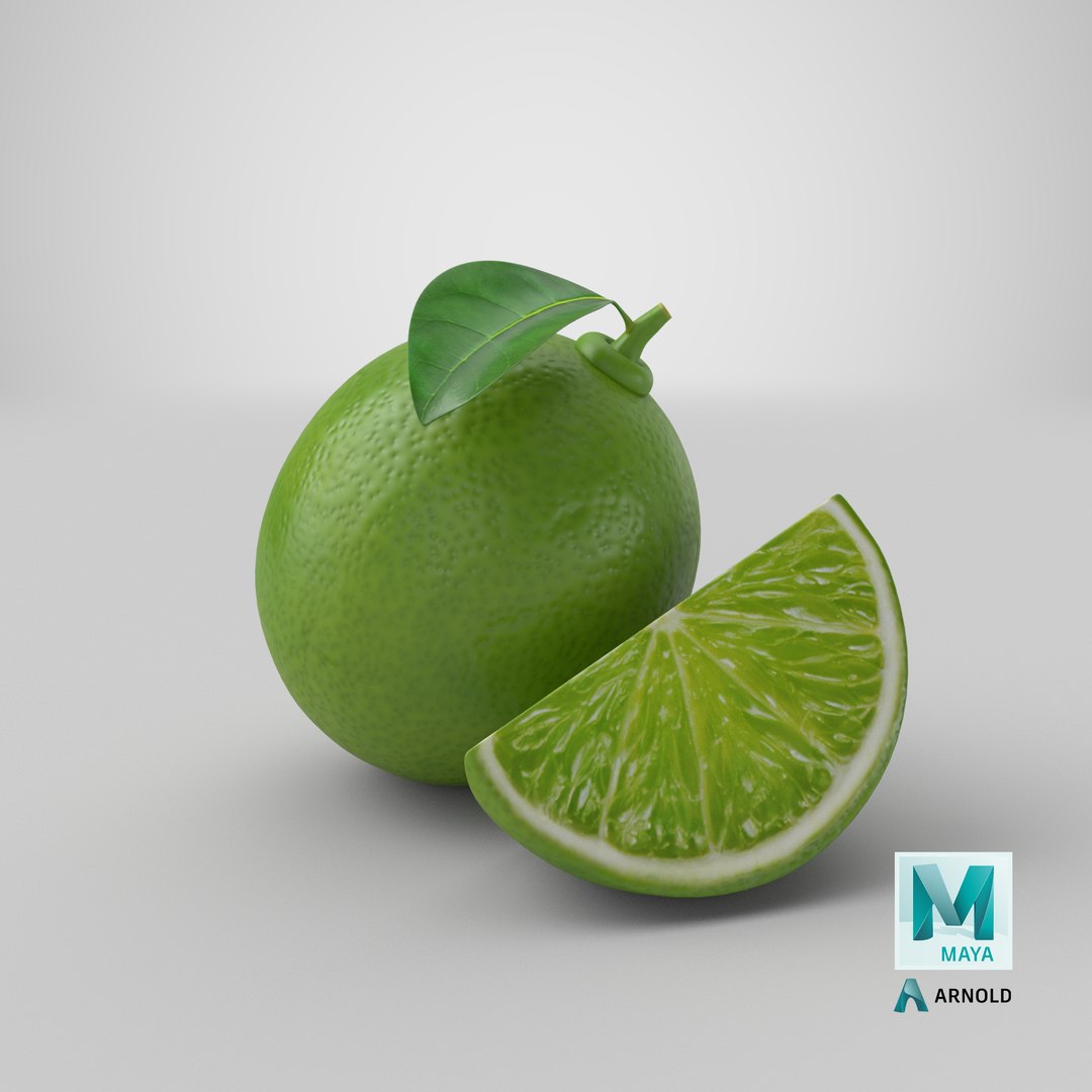 realistic small lime 04 3D model https://p.turbosquid.com/ts-thumb/Gw/x8mjpS/AC/stemcell_maya_arnold_render/png/1673518676/1920x1080/fit_q87/a447fa48d37ee384d9fc73e326e34745d2c14cb6/stemcell_maya_arnold_render.jpg