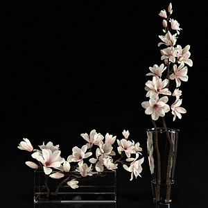 magnolia 3d model