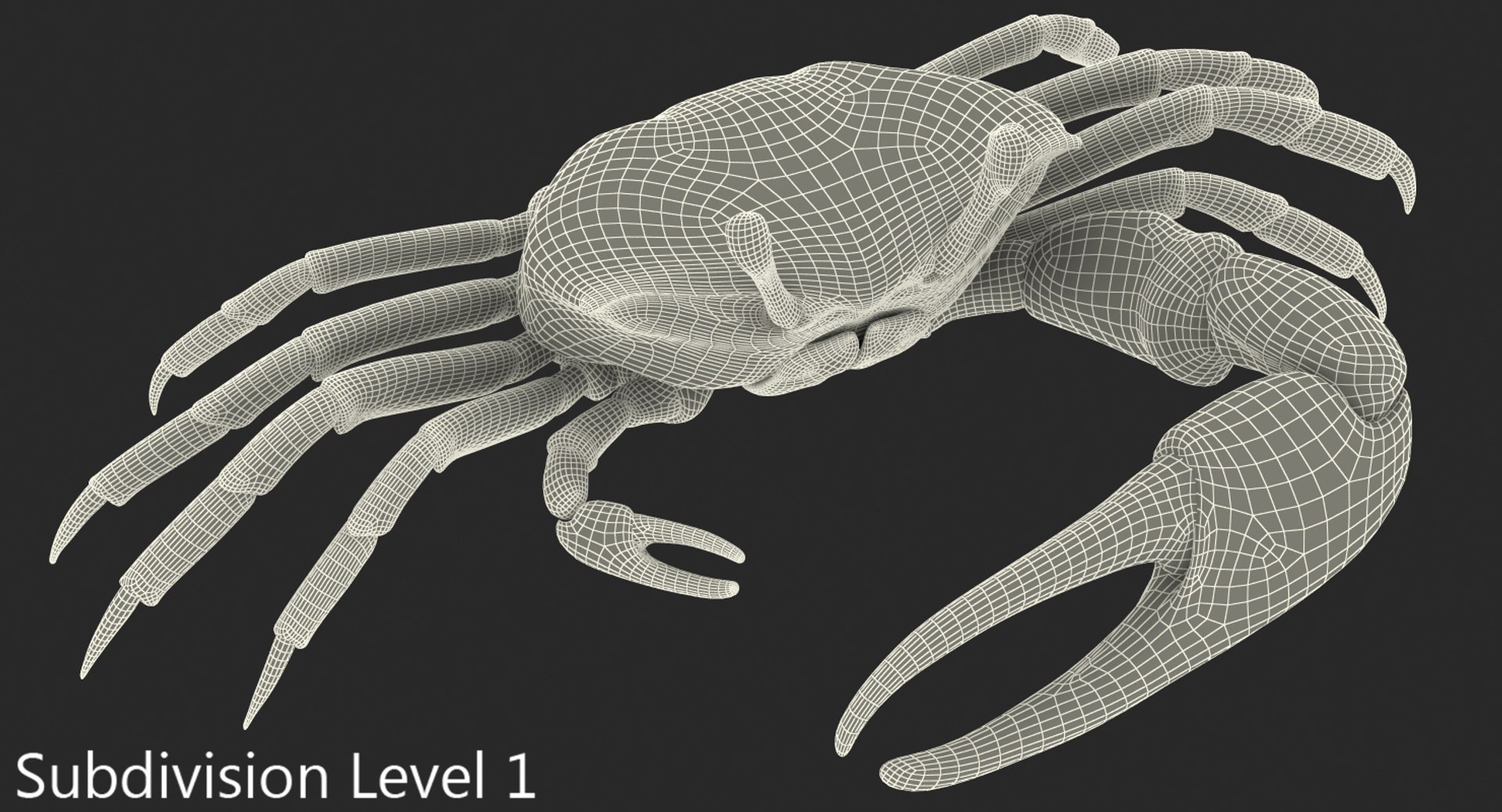 3d model of fiddler crab rigged https://p.turbosquid.com/ts-thumb/Gw/yf6slu/GmT3aDcj/fiddlercrabrigged3dmodel021/jpg/1490610699/1920x1080/fit_q87/3154565f74b36c1fb8bf9c9b7dc8b43c385e120d/fiddlercrabrigged3dmodel021.jpg