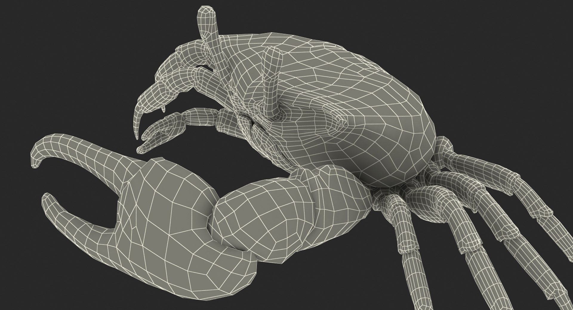 3d model of fiddler crab rigged https://p.turbosquid.com/ts-thumb/Gw/yf6slu/TuyEcj1e/fiddlercrabrigged3dmodel026/jpg/1490610699/1920x1080/fit_q87/ce2e7afc7efabf1067d23120c3afbee4d17b61dc/fiddlercrabrigged3dmodel026.jpg