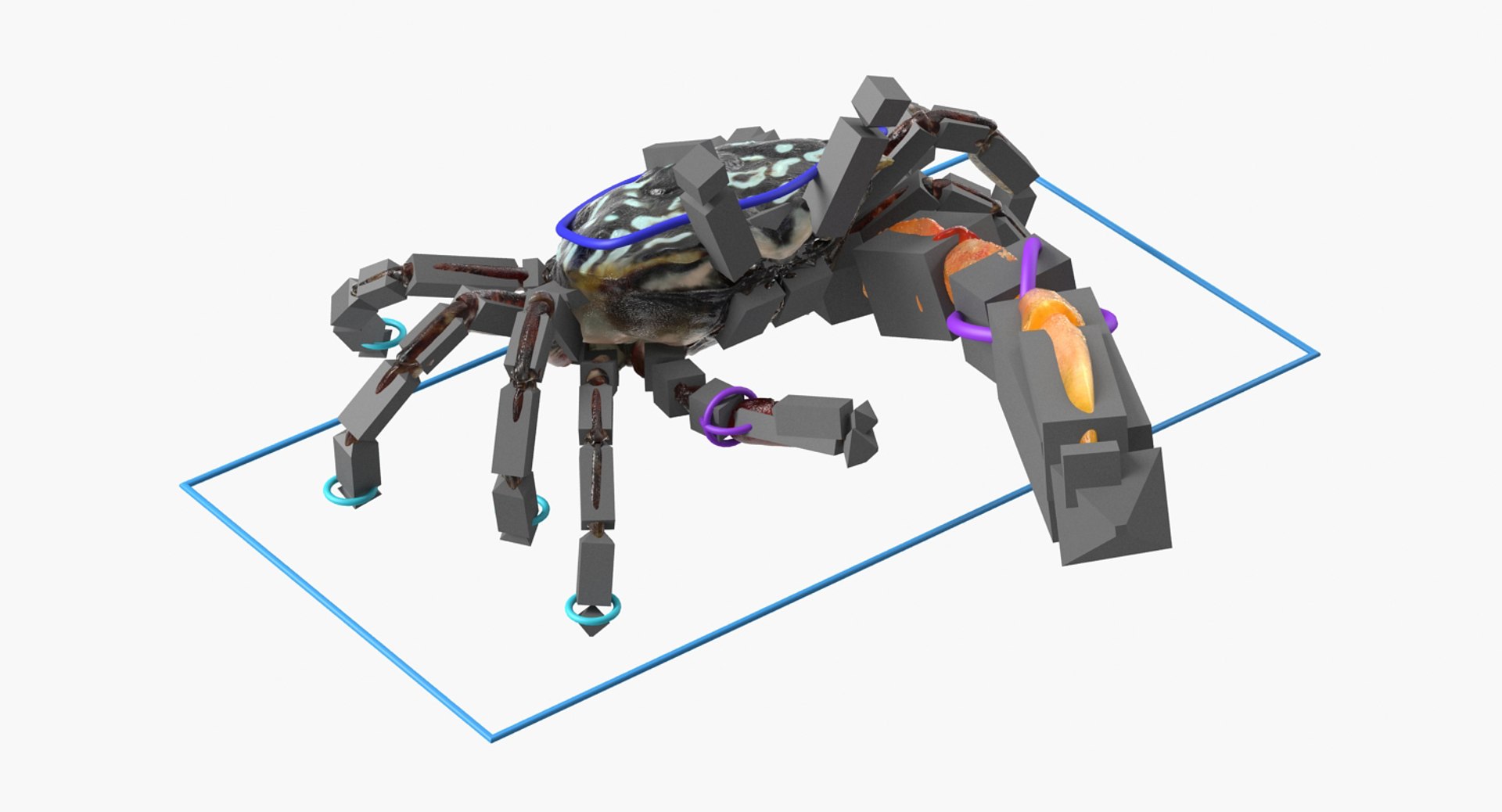 3d model of fiddler crab rigged https://p.turbosquid.com/ts-thumb/Gw/yf6slu/fJ2zK0bs/fiddlercrabrigged3dmodel020/jpg/1490610699/1920x1080/fit_q87/6bc8ccbf5c85e548b85ca1a3c7316d1f7256736c/fiddlercrabrigged3dmodel020.jpg