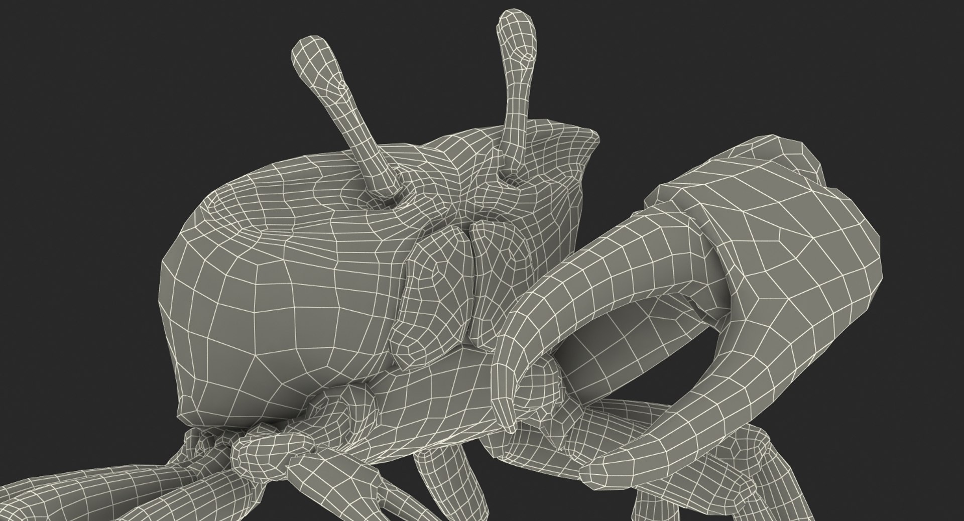 3d model of fiddler crab rigged https://p.turbosquid.com/ts-thumb/Gw/yf6slu/lprRkEB9/fiddlercrabrigged3dmodel031/jpg/1490610699/1920x1080/fit_q87/973ef33ff6953109f593df5632b20ec64f1fac4a/fiddlercrabrigged3dmodel031.jpg