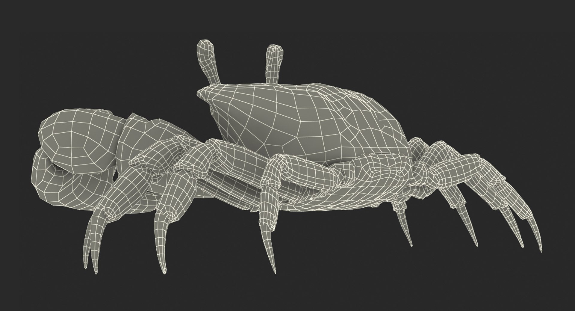 3d model of fiddler crab rigged https://p.turbosquid.com/ts-thumb/Gw/yf6slu/nHX9jNmL/fiddlercrabrigged3dmodel027/jpg/1490610699/1920x1080/fit_q87/d4a40f3bf5de65152a5f296130e958fcd5a61e3d/fiddlercrabrigged3dmodel027.jpg