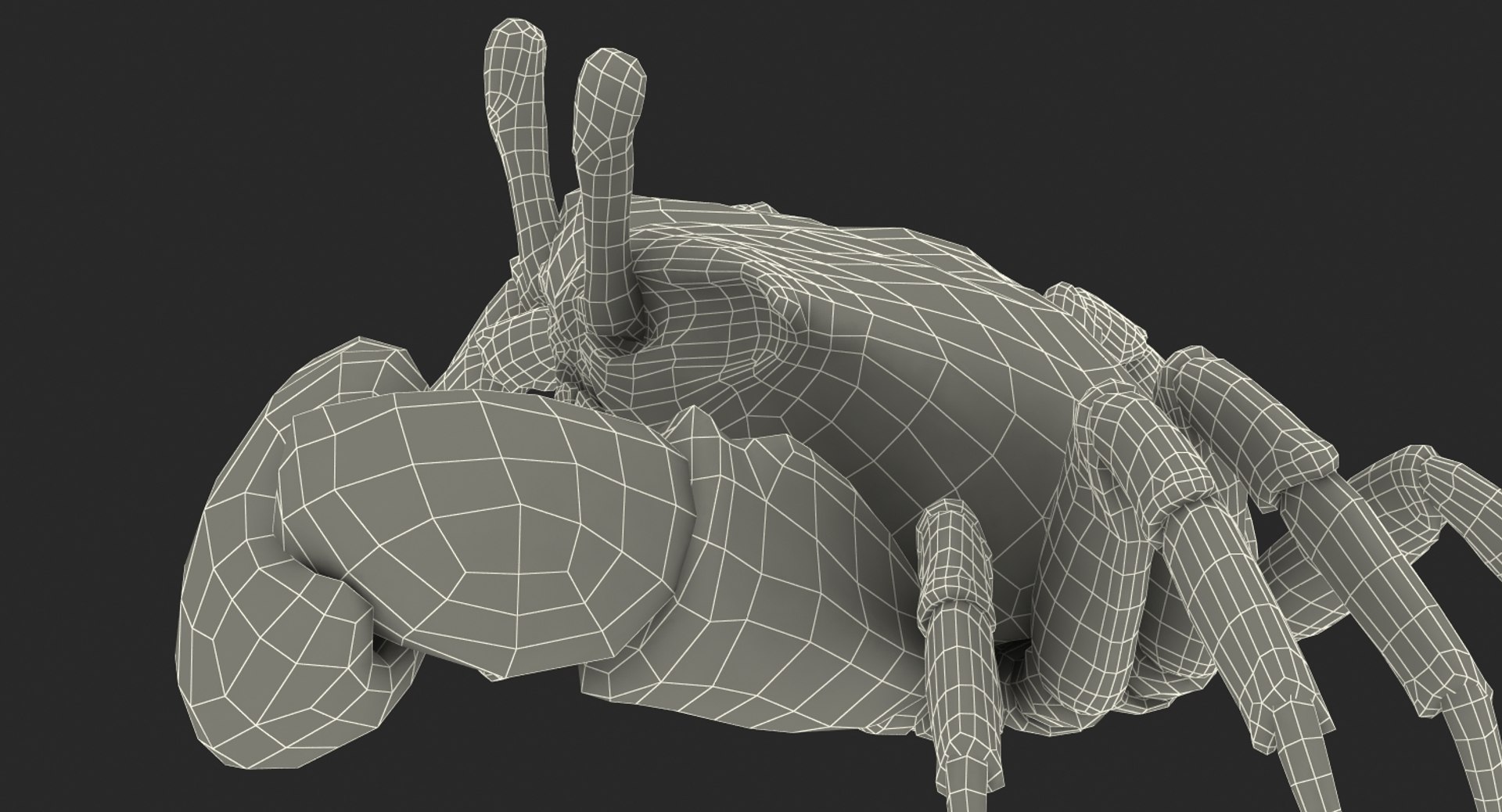 3d model of fiddler crab rigged https://p.turbosquid.com/ts-thumb/Gw/yf6slu/tlzkLeuq/fiddlercrabrigged3dmodel029/jpg/1490610699/1920x1080/fit_q87/77dfb734005a18e8f06d671503cc7ac381603b7b/fiddlercrabrigged3dmodel029.jpg