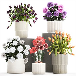 3D Set of beautiful plants and flowers in flowerpots 1308