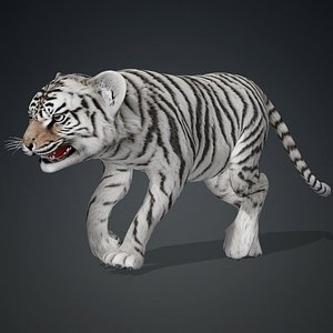 Tiger BaBy-A3 3D model
