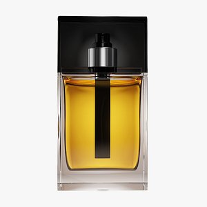 3D model Dior Homme