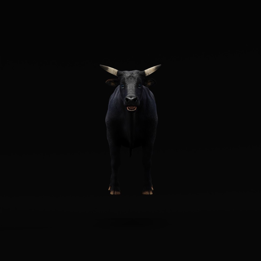 Black Bull Cattle 3D model https://p.turbosquid.com/ts-thumb/Gx/dvAJS9/2U/bull_cattle_rig_ao_0004/jpg/1722447272/1920x1080/fit_q87/7683b3c682ce2302b4faea9f9935f0c972aaae90/bull_cattle_rig_ao_0004.jpg
