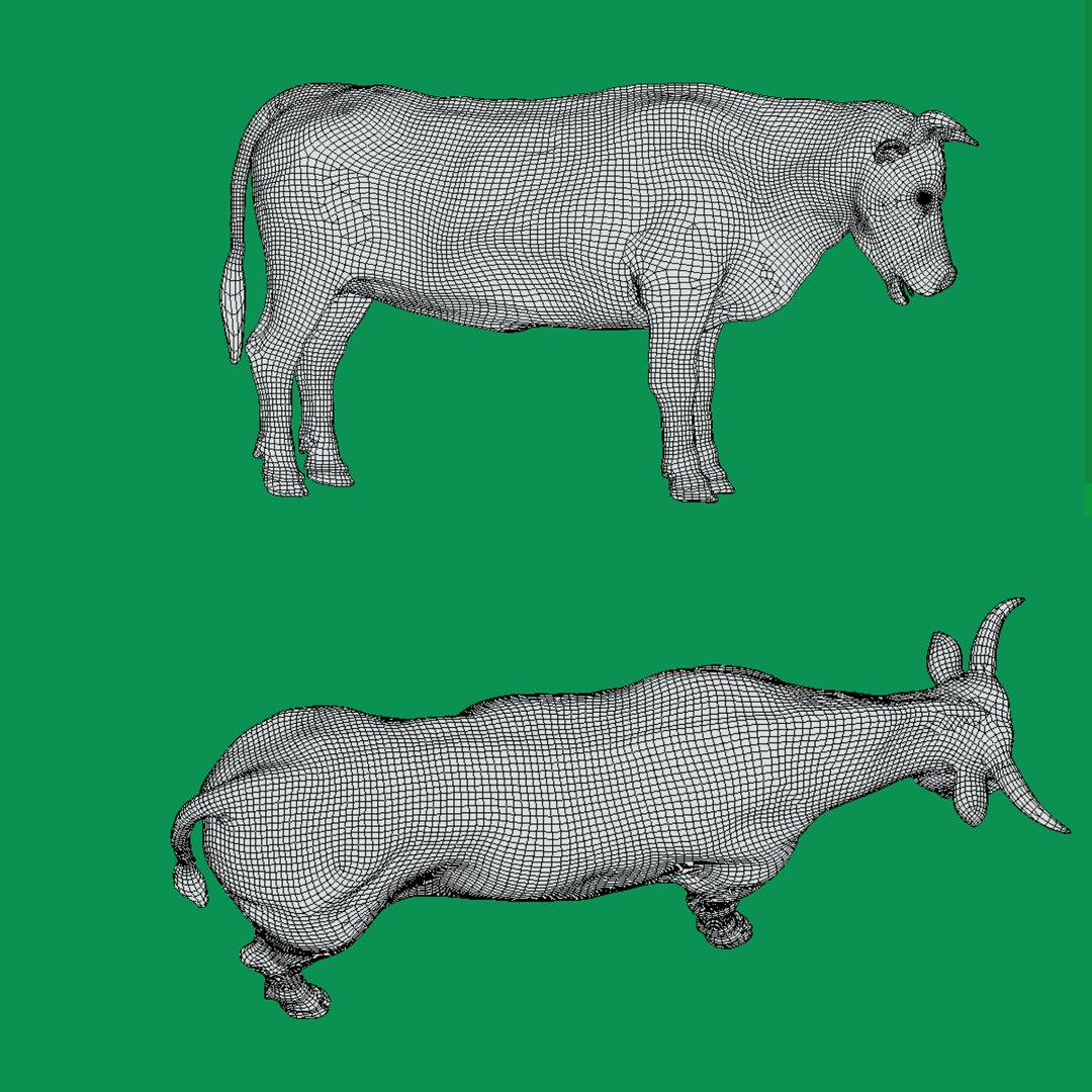 Black Bull Cattle 3D model https://p.turbosquid.com/ts-thumb/Gx/dvAJS9/WS/wire/png/1722447218/1920x1080/fit_q87/e904cde6722a7e26f99325cc2d1c86d1af7cd5f7/wire.jpg