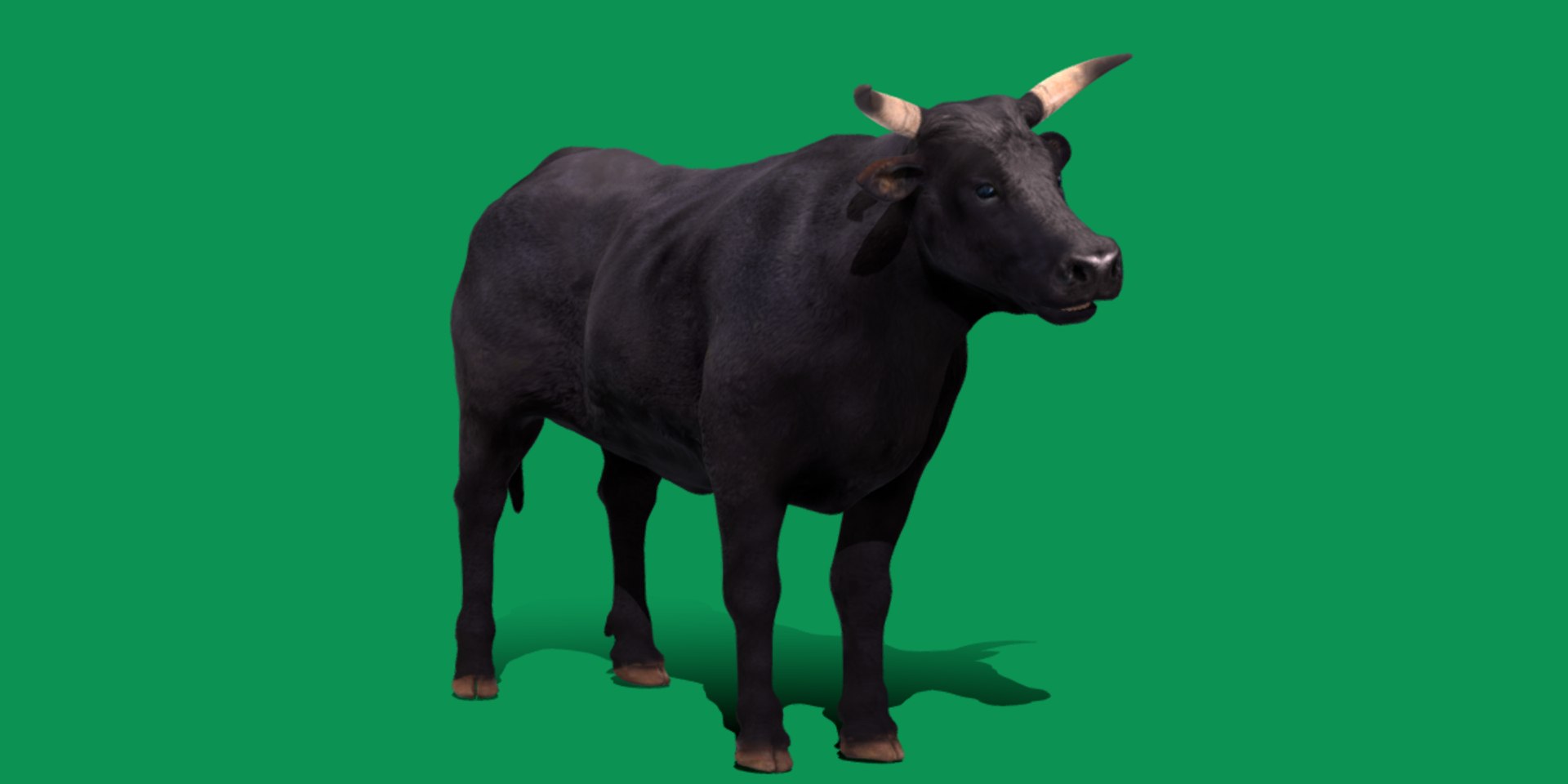 Black Bull Cattle 3D model https://p.turbosquid.com/ts-thumb/Gx/dvAJS9/Xa/black_bull_cattle__game_ready_/png/1722447273/1920x1080/fit_q87/4e436f2401b4850de1ea309ada93d10b4019d8cd/black_bull_cattle__game_ready_.jpg