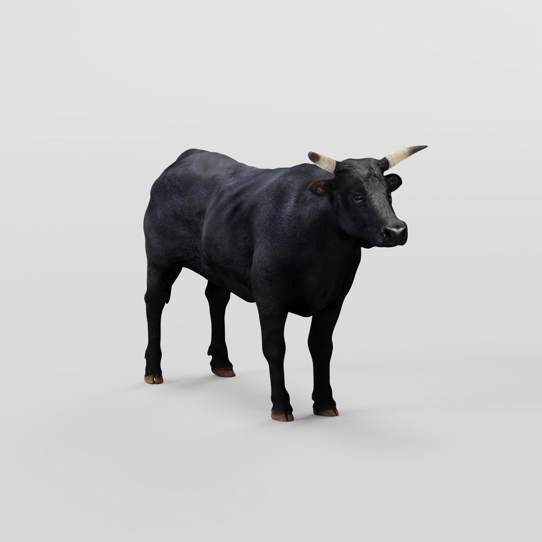 Black Bull Cattle 3D model https://p.turbosquid.com/ts-thumb/Gx/dvAJS9/gu/bull_cattle_rig_ao_0005/jpg/1722447273/1920x1080/fit_q87/418ede99902626bdd4d69aae4fb3568cdef694dc/bull_cattle_rig_ao_0005.jpg
