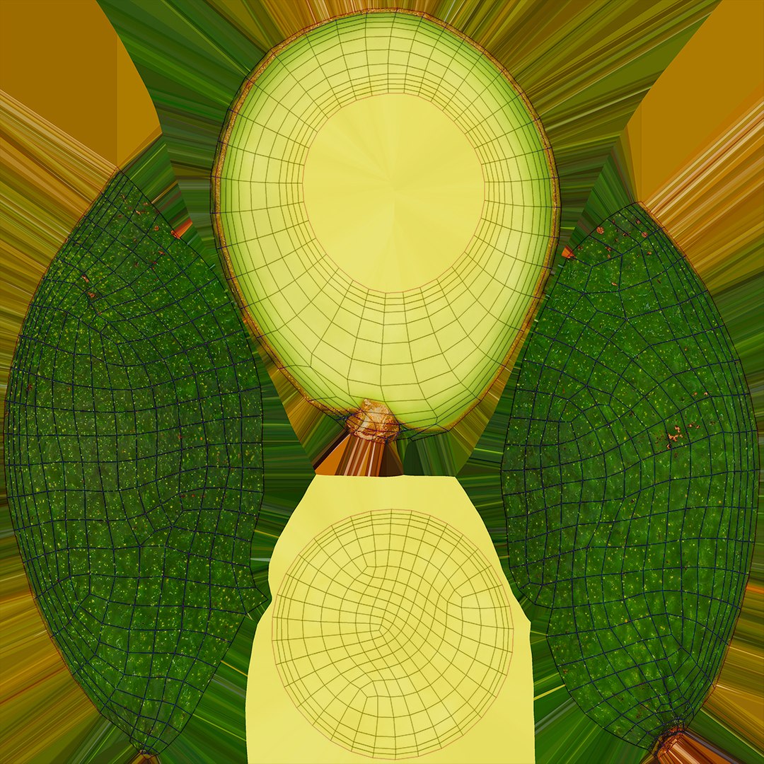 3D Fruit and Slice Collection 3 https://p.turbosquid.com/ts-thumb/Gx/nkeO26/b8/wholehalfavocado_d0004/jpg/1663766340/1920x1080/fit_q87/3f69f7ed5a87d6b3d83e34b0960f36006b3d01b9/wholehalfavocado_d0004.jpg