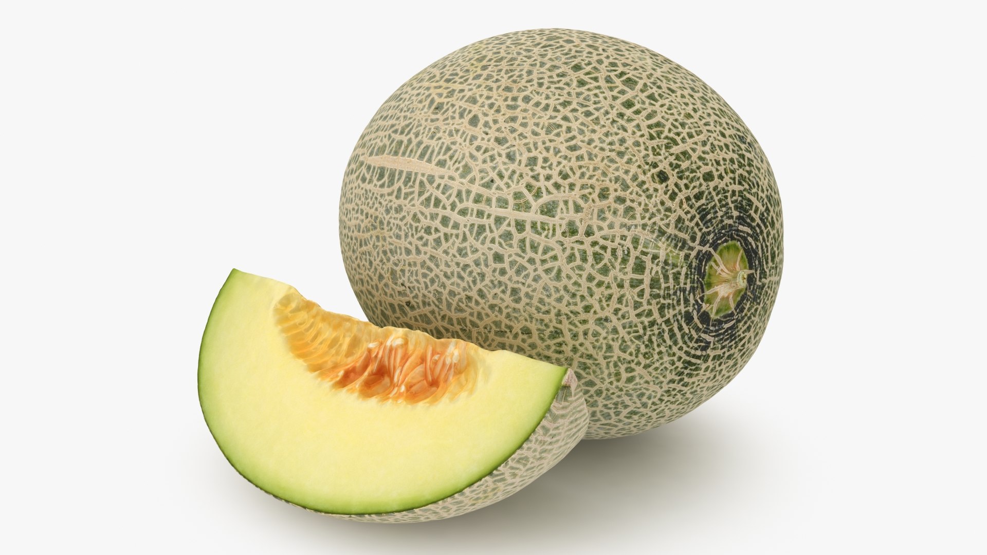 3D Fruit and Slice Collection 3 https://p.turbosquid.com/ts-thumb/Gx/nkeO26/fL/wholeslicegreenmelon_b0000/jpg/1663765141/1920x1080/fit_q87/d80e950cda7efab55c18371376520ec229201e2c/wholeslicegreenmelon_b0000.jpg