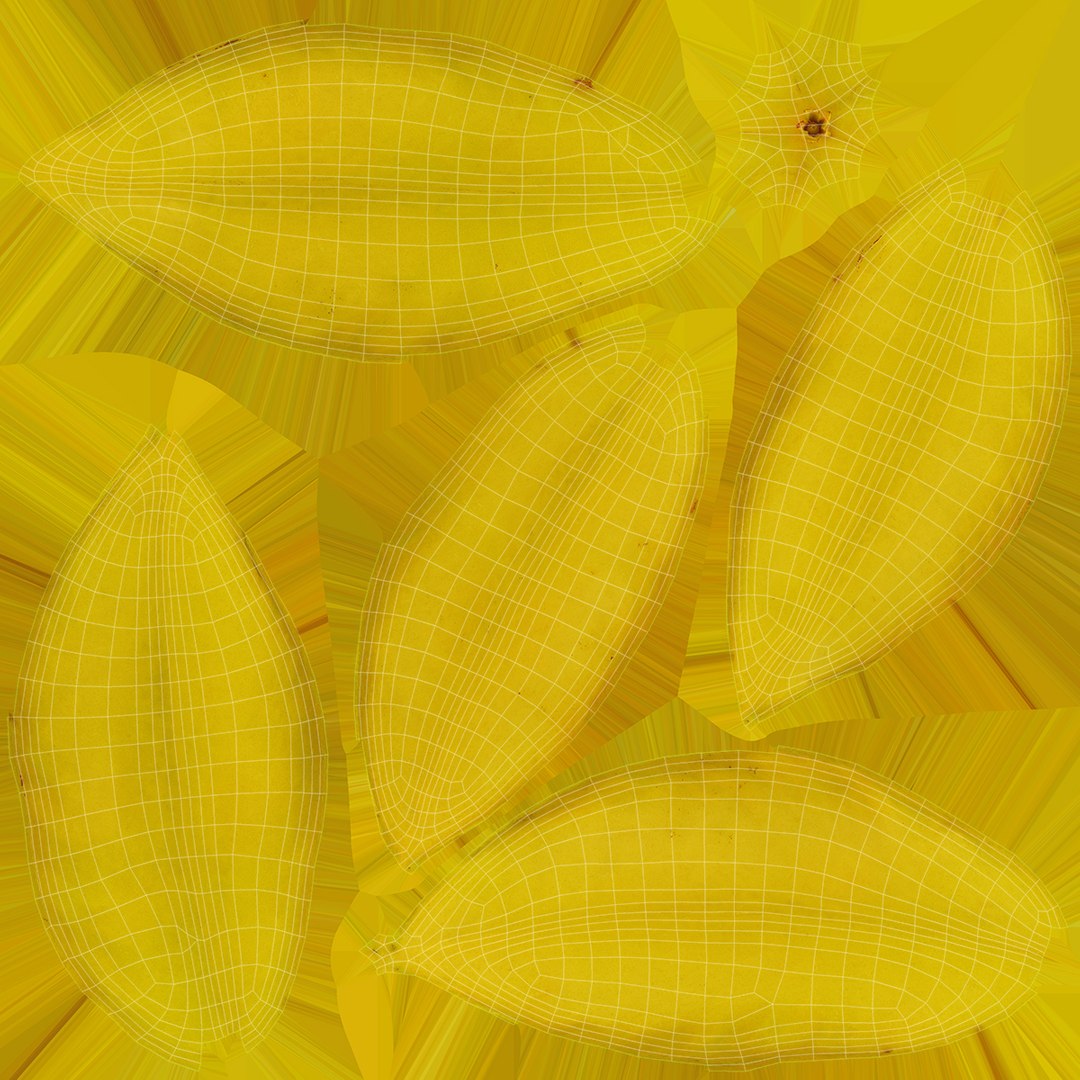 3D Fruit and Slice Collection 3 https://p.turbosquid.com/ts-thumb/Gx/nkeO26/zd/starfruitandslice_f0007/jpg/1663765216/1920x1080/fit_q87/2d66bc52897fca8dad71530288ba7be8365bb357/starfruitandslice_f0007.jpg
