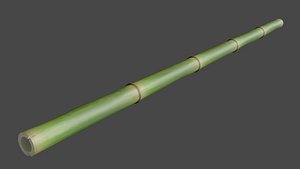 Bamboo Staff