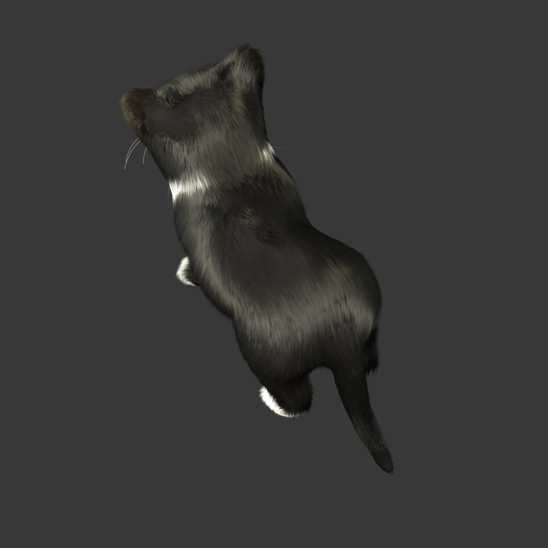 kitten fur rig max https://p.turbosquid.com/ts-thumb/Gy/1mNfaD/TZnyAHNj/kitten_3/png/1407252069/1920x1080/fit_q87/e4d8249a8fb983e582473afe3ec20d243d454131/kitten_3.jpg