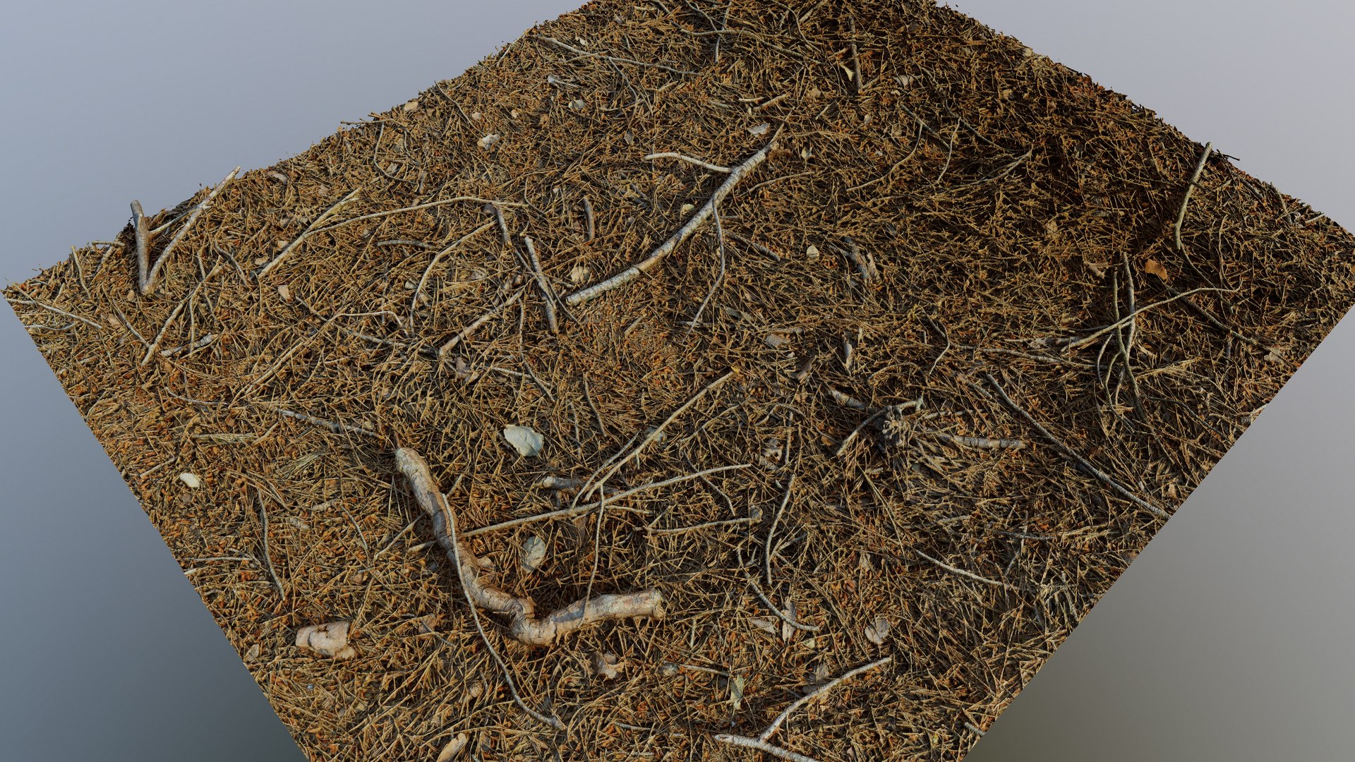 3D Forestground01 Model - TurboSquid 1914754