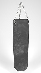 3d punching bag