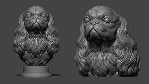 English Toy Spaniel bust model