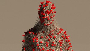 lines cubes grid mesh guy