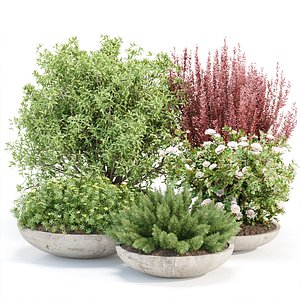 Outdoor plants collection vol 200 3D model