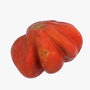 3D Tomato 04 low-poly 3D model model