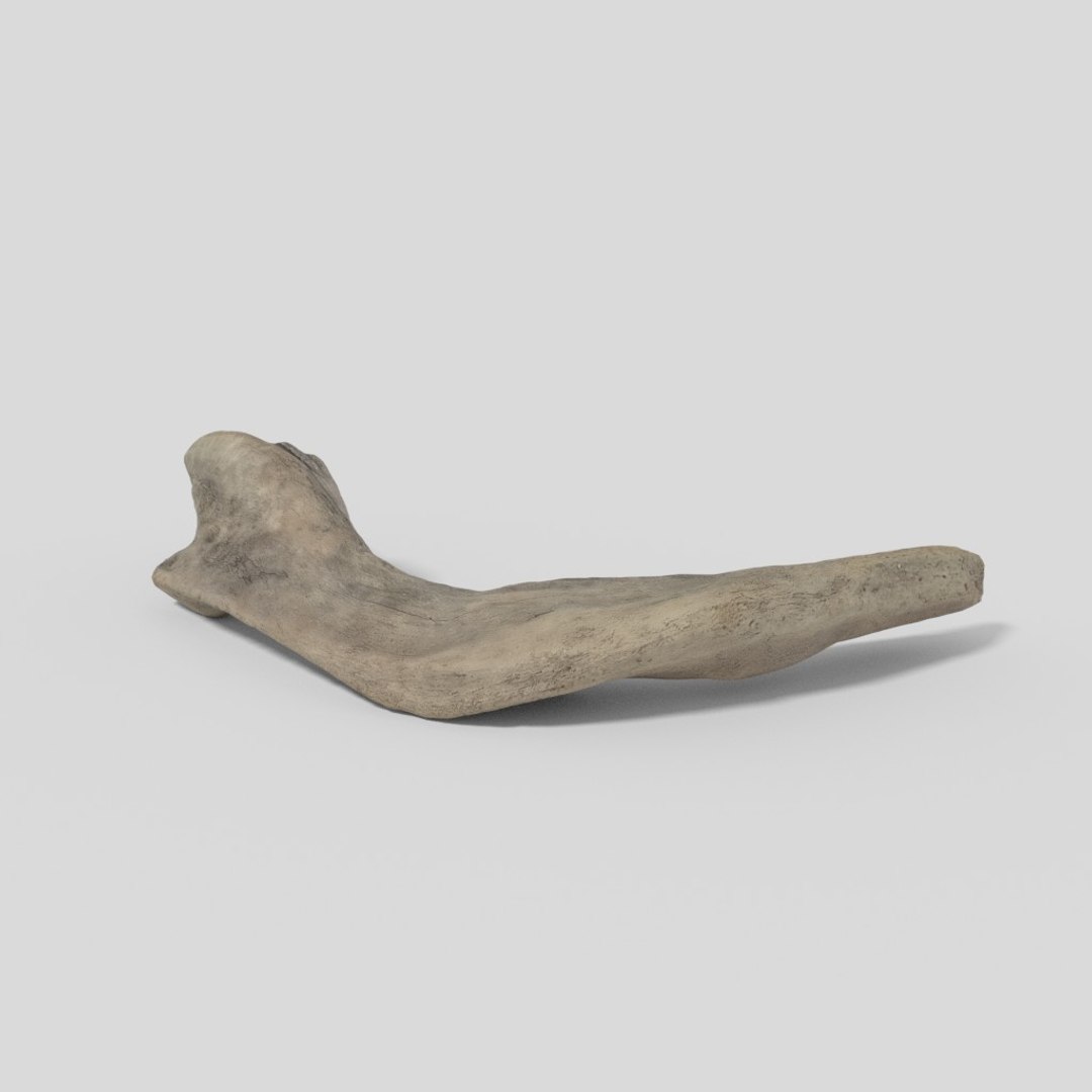 driftwood pbr 3D model https://p.turbosquid.com/ts-thumb/Gy/NFHEcL/D1GAcT2t/woodold01mid_08/jpg/1521360912/1920x1080/fit_q87/e0e49a98a444bb0f9f73e4cb5dae9bf9815acfd5/woodold01mid_08.jpg