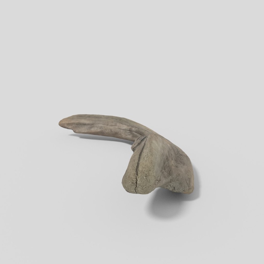 driftwood pbr 3D model https://p.turbosquid.com/ts-thumb/Gy/NFHEcL/ZkIwRXM0/woodold01mid_07/jpg/1521360912/1920x1080/fit_q87/cebc61a4e9827c862c7a85ae20d5fc00330fb1a5/woodold01mid_07.jpg