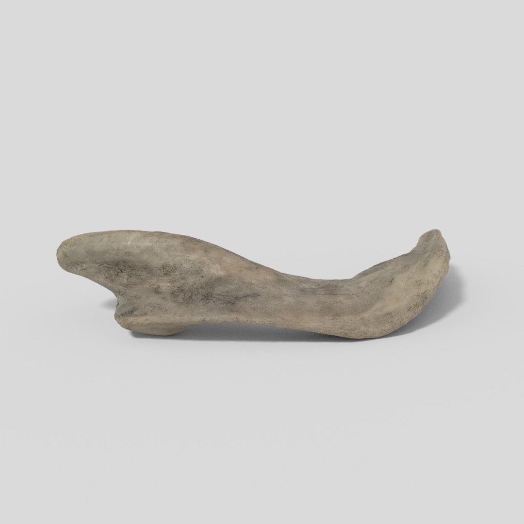 driftwood pbr 3D model https://p.turbosquid.com/ts-thumb/Gy/NFHEcL/aqR6Rl28/woodold01mid_05/jpg/1521360912/1920x1080/fit_q87/7d94fc6215238e70c714652665844ee99710e46c/woodold01mid_05.jpg