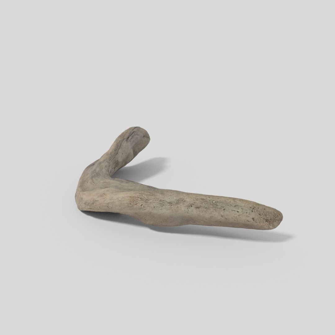driftwood pbr 3D model https://p.turbosquid.com/ts-thumb/Gy/NFHEcL/dniii9Hm/woodold01mid_03/jpg/1521360911/1920x1080/fit_q87/4998abc32aff708e1ed2dc7e686fe439997dbbcd/woodold01mid_03.jpg