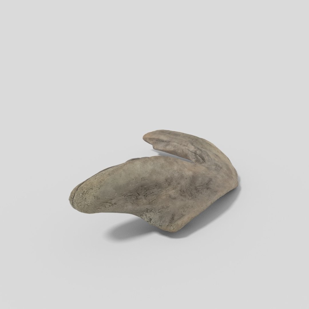 driftwood pbr 3D model https://p.turbosquid.com/ts-thumb/Gy/NFHEcL/kJmB9IDb/woodold01mid_06/jpg/1521360912/1920x1080/fit_q87/96af5813a4afc101ed034bc8fc4f2dcf6af2a03b/woodold01mid_06.jpg
