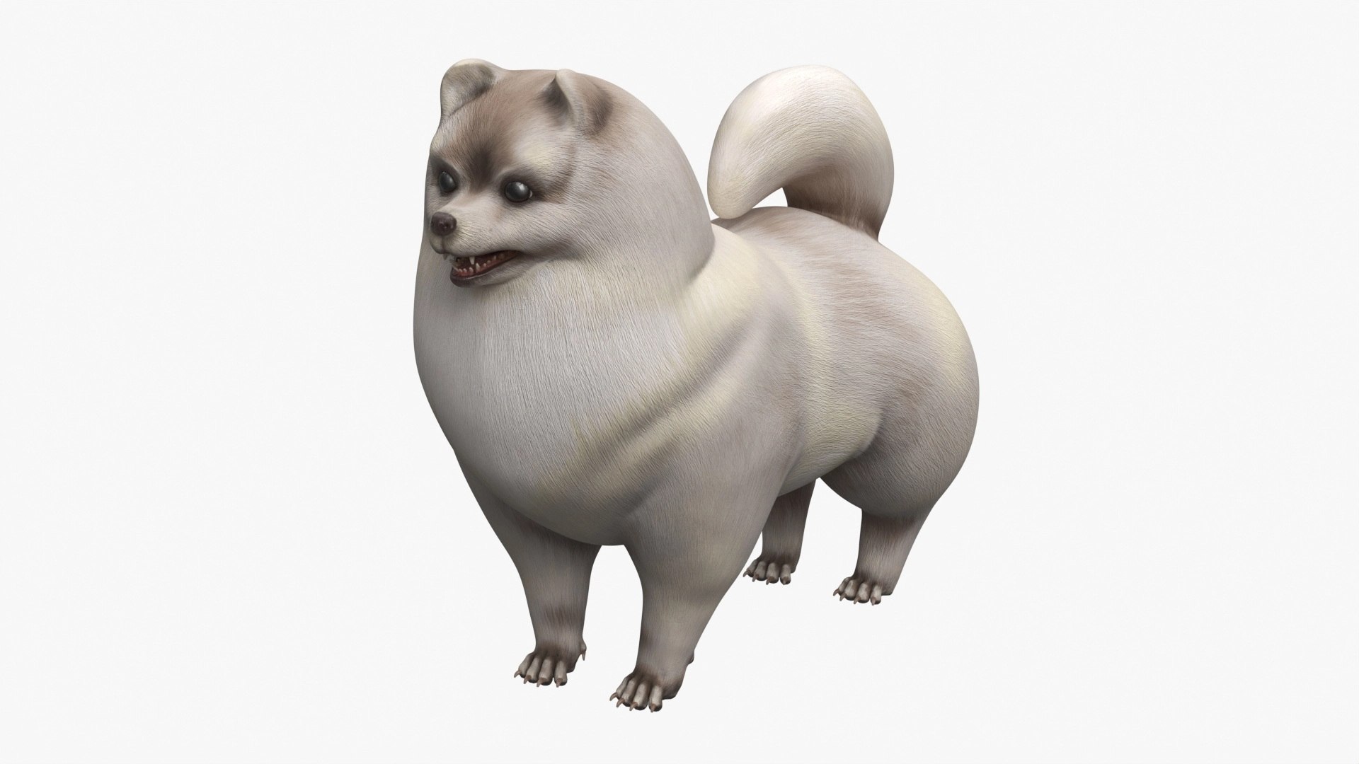3D model Small Dogs Collection 2 https://p.turbosquid.com/ts-thumb/Gy/NQkCfM/Fg/small_dogs_collection_2_013/jpg/1785234050/1920x1080/fit_q87/9dad32d08bac668d83b2df34cd2a9fcc53510c88/small_dogs_collection_2_013.jpg