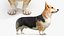 Colección de perros pequeños 2