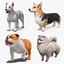 Colección de perros pequeños 2