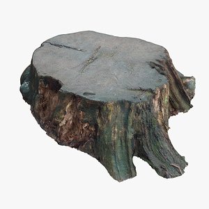 Tree Stump 35 pbr 3D model