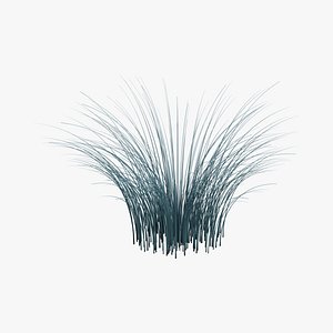 Frozen Blue Fescue - Blue Blades with Ice Accents