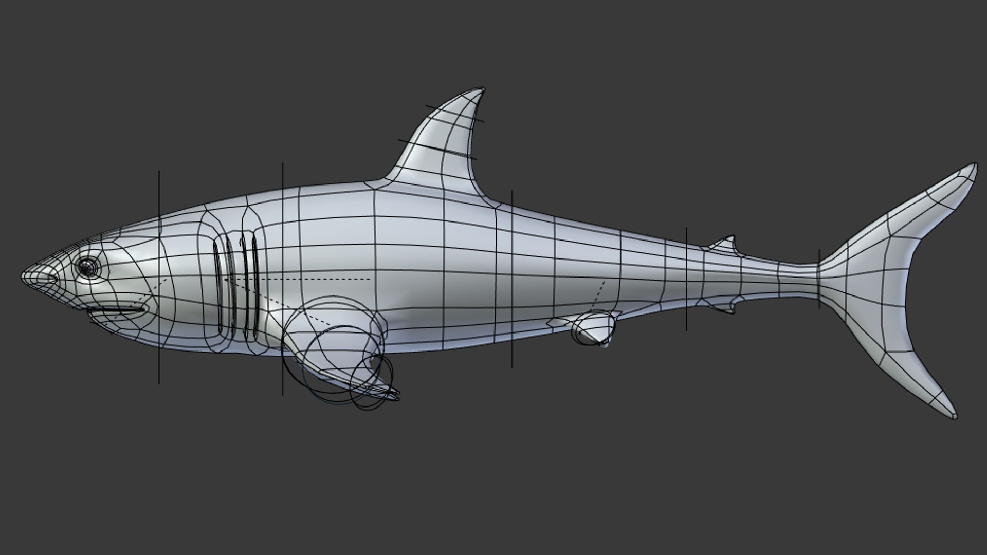 shark art 3D https://p.turbosquid.com/ts-thumb/Gy/RDFy3t/Ay1O8MjX/14/png/1493669148/1920x1080/fit_q87/2741c579433194e87ed8b765942c240e458caaeb/14.jpg
