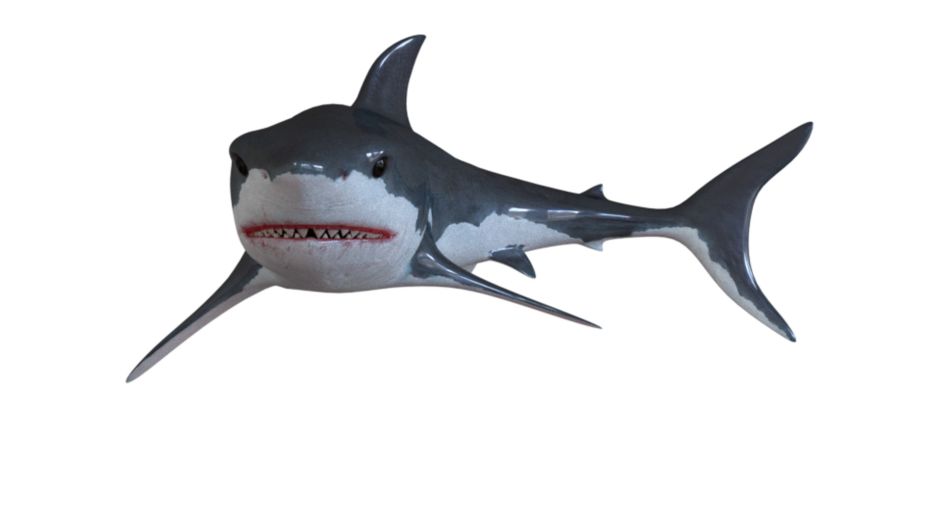 shark art 3D https://p.turbosquid.com/ts-thumb/Gy/RDFy3t/EwwQK8rl/11/png/1493669148/1920x1080/fit_q87/572d41d4004a2cc8868d17949882d4d588c3756d/11.jpg