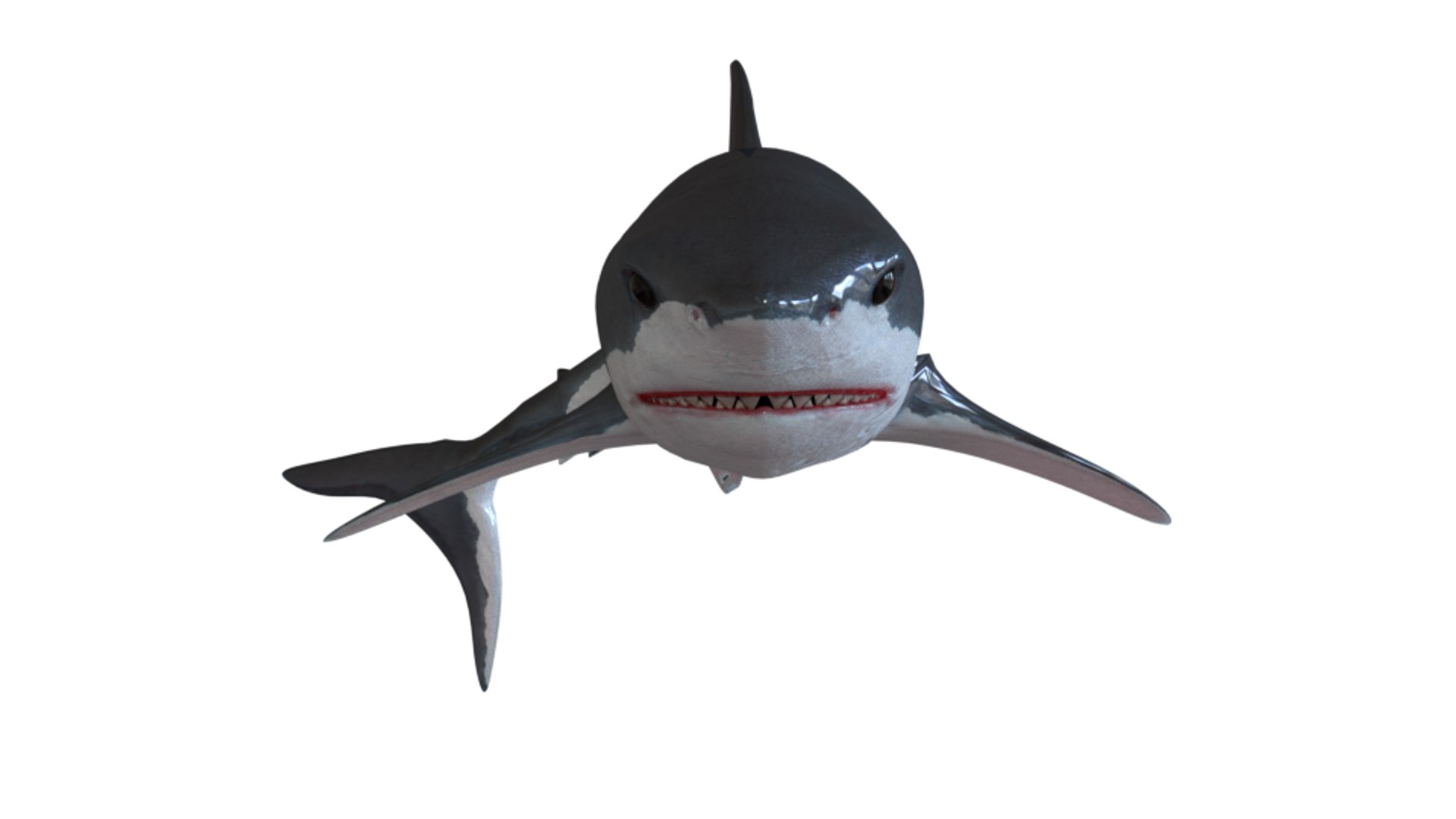 shark art 3D https://p.turbosquid.com/ts-thumb/Gy/RDFy3t/T2oxtAAE/06/png/1493669147/1920x1080/fit_q87/d48e37eb76fad318e1db00b78a31f1345b40b142/06.jpg