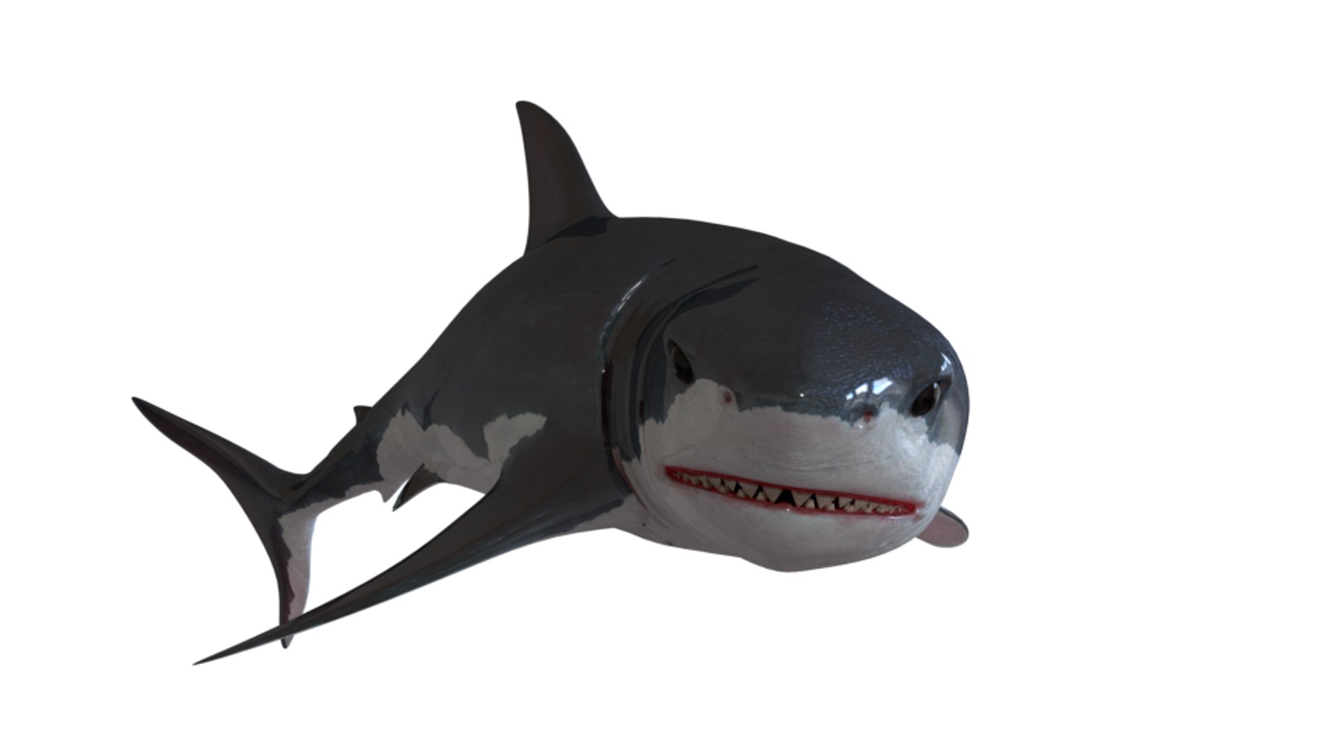 shark art 3D https://p.turbosquid.com/ts-thumb/Gy/RDFy3t/wGi18a2y/05/png/1493669147/1920x1080/fit_q87/65868bd91dcb8340db19c1d8c6b8455a2bacaa13/05.jpg