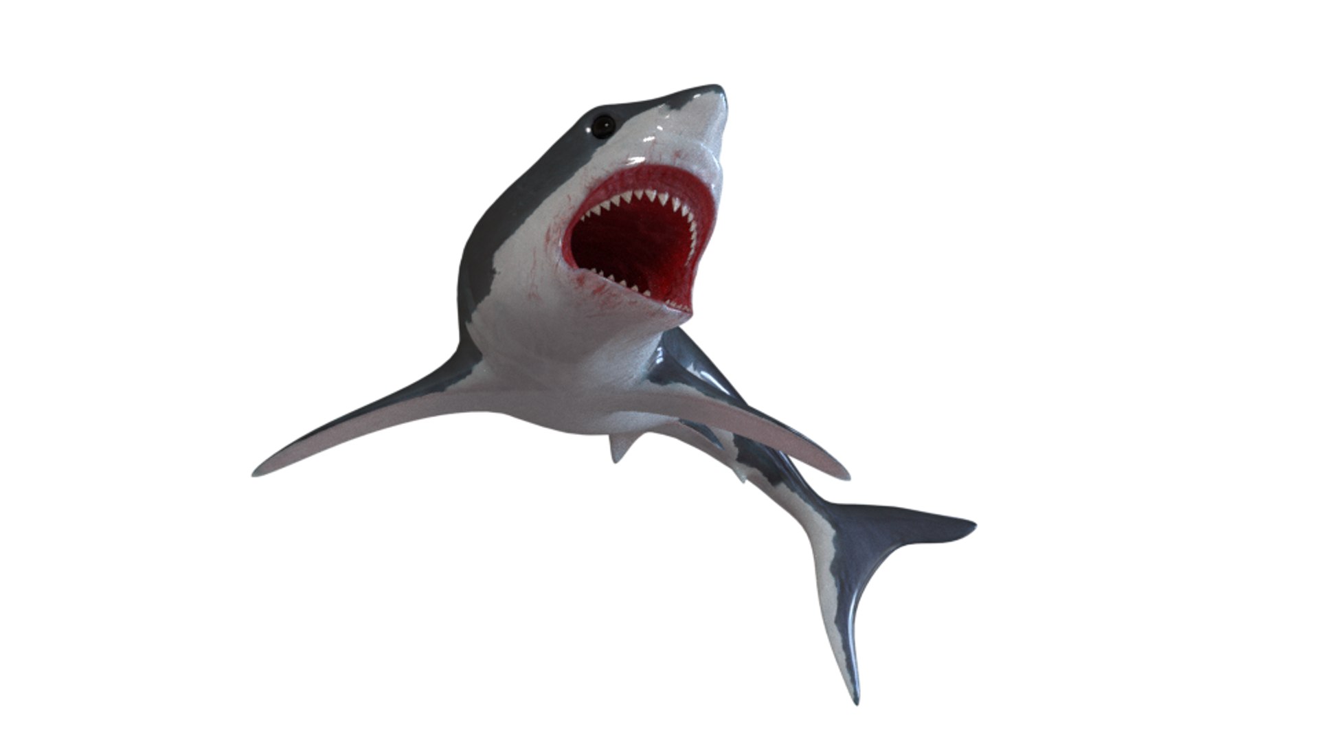 shark art 3D https://p.turbosquid.com/ts-thumb/Gy/RDFy3t/yAA5aCJO/10/png/1493669148/1920x1080/fit_q87/89bbe52d9e8d8810c05cbd5dd067a98972d5e10e/10.jpg
