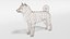 3D shiba inu dog model
