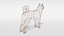 3D shiba inu dog model