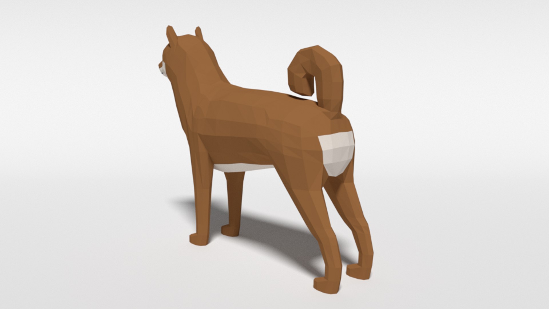 3D Shiba Inu Dog Model - TurboSquid 1529792