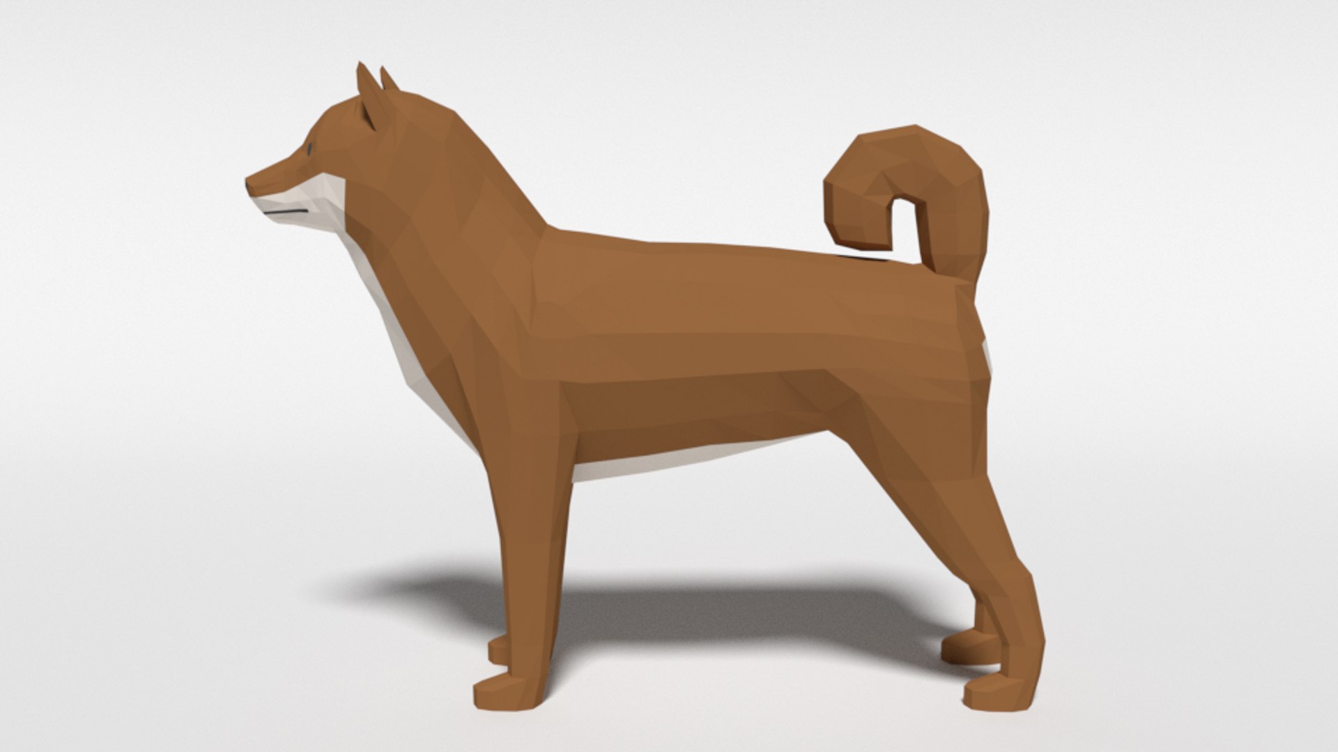 3D Shiba Inu Dog Model - TurboSquid 1529792