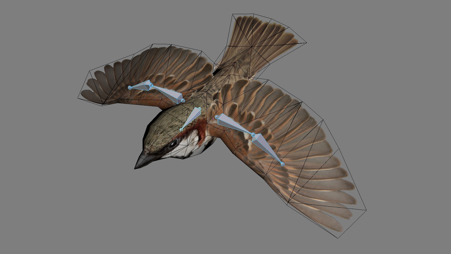 3D Flying sparrow https://p.turbosquid.com/ts-thumb/Gy/cBi1F9/Nm/wire07/jpg/1777361757/1920x1080/fit_q87/e7890aa49938a1897634adb31f43d8079dc43214/wire07.jpg