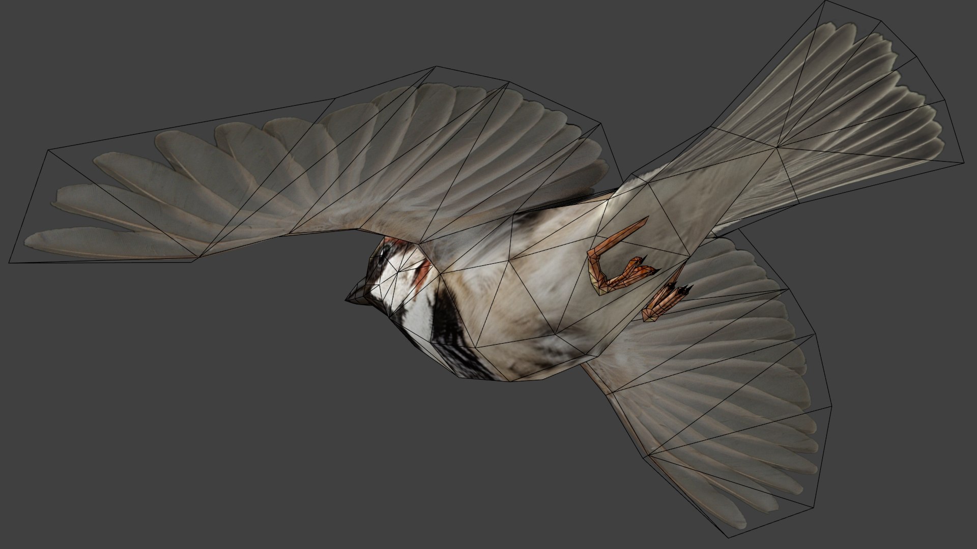 3D Flying sparrow https://p.turbosquid.com/ts-thumb/Gy/cBi1F9/wd/wire04/jpg/1777361755/1920x1080/fit_q87/f92286958975ce5e1f37552f27db3a3afce99e91/wire04.jpg