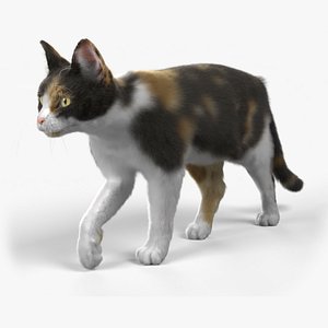 Cat Calico ANIMATED 3D model