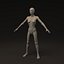 Human Female - Morphable Woman Base Mesh